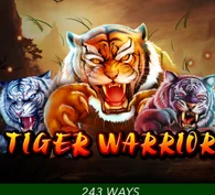 TIGER WARRIOR — game at We1win
