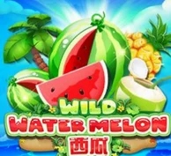 WILD WATER MELON — game at We1win